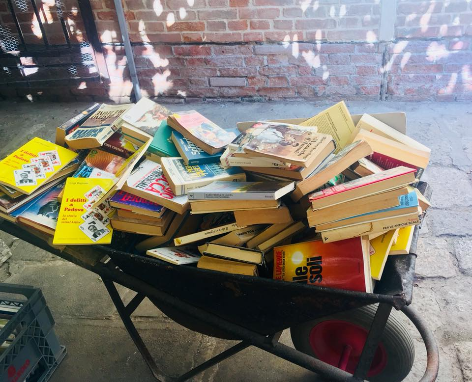 Wheelbarrel of books